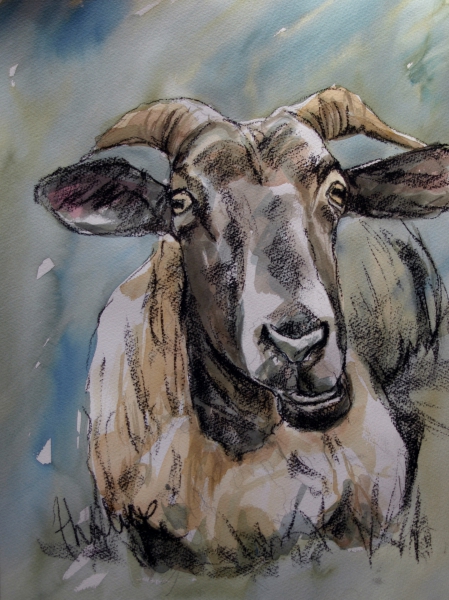 6. Lambs and sheep in watercolour art workshop